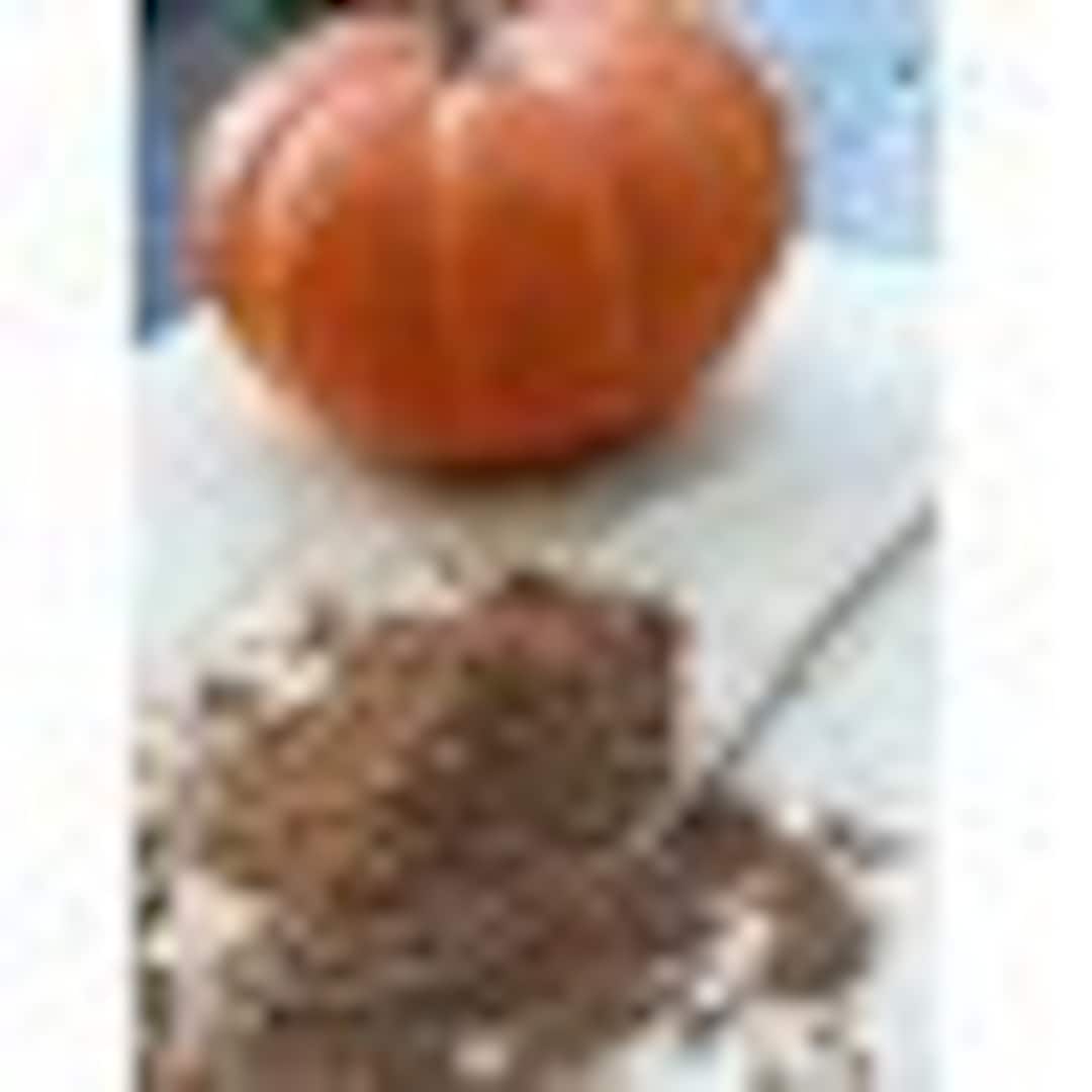 pumpkin-pie-seasoning-25-lbs-bulk-etsy