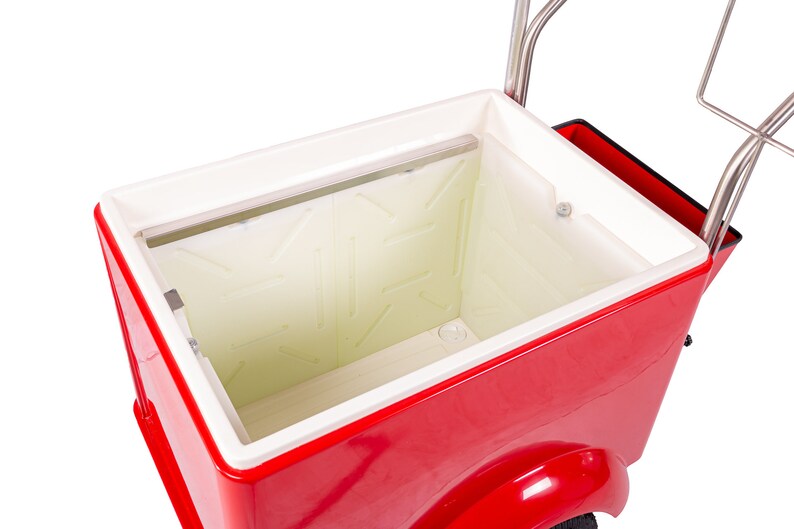 ICE CREAM CART, Commercial Branding, Ice Cream, Paletas, Gelato