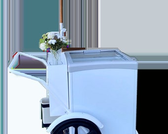 ICE CREAM FREEZER Push Cart Electric Freezer Cart Pool Cart Beach Cart Frozen Treats Street Cart Push Cart Gelato Cart Ice Cream Carts