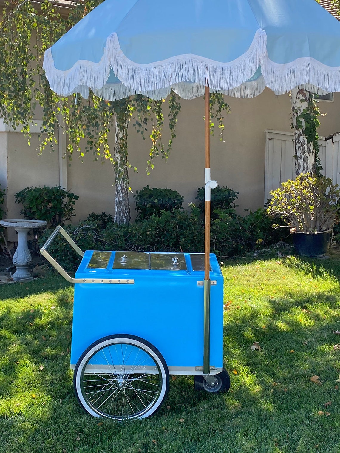 Traditional Mexican Paleta Cart Mexican Paletas Mexican Paleta Etsy