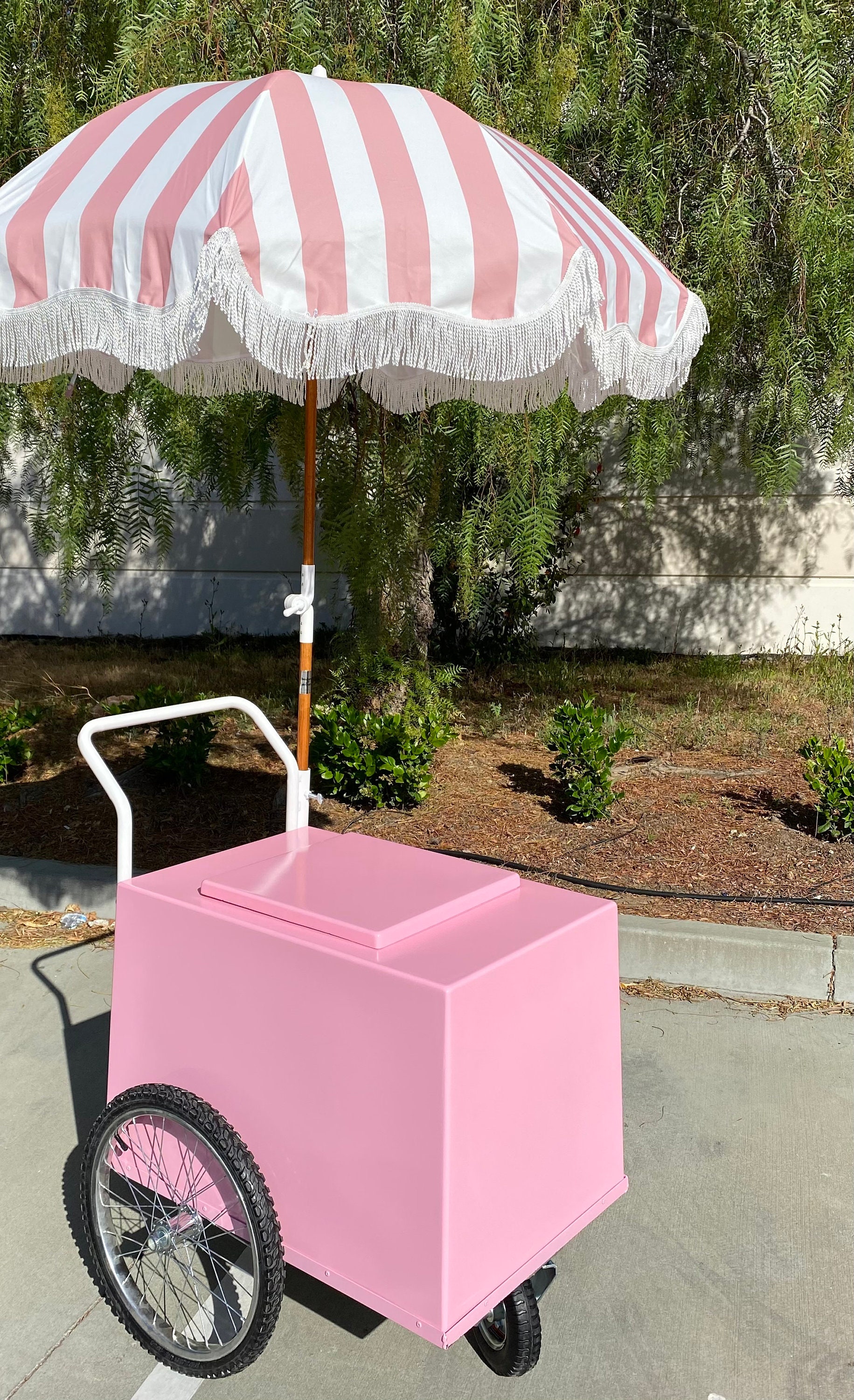 ALL PINK CART Mexican Paleta Cart Popsicles Pops Push Cart Vendors