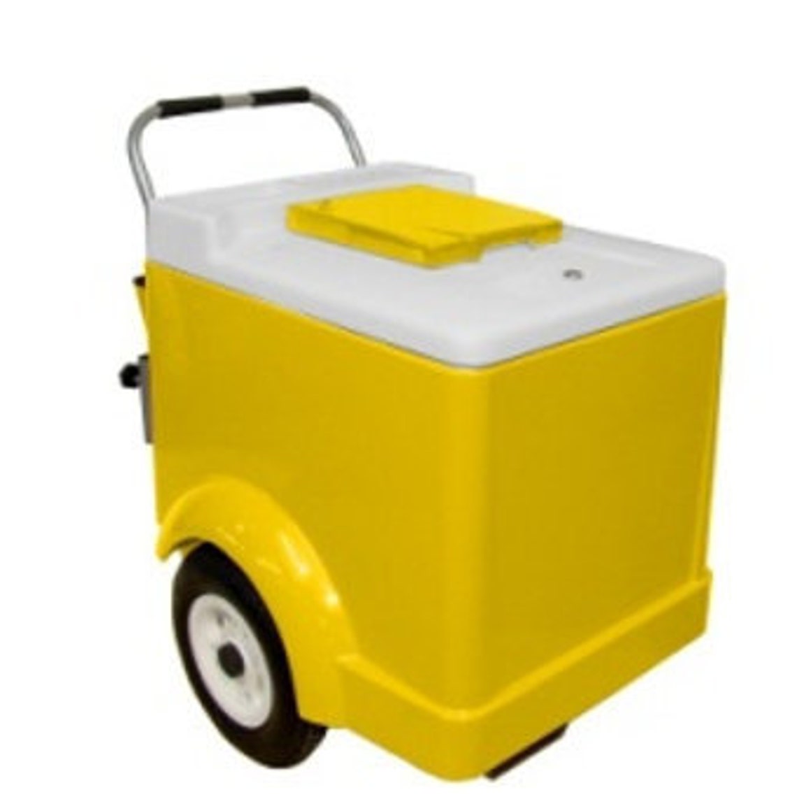 ICE CREAM CART Street Ice Cream Vendors Paleta Cart Gelato Cart