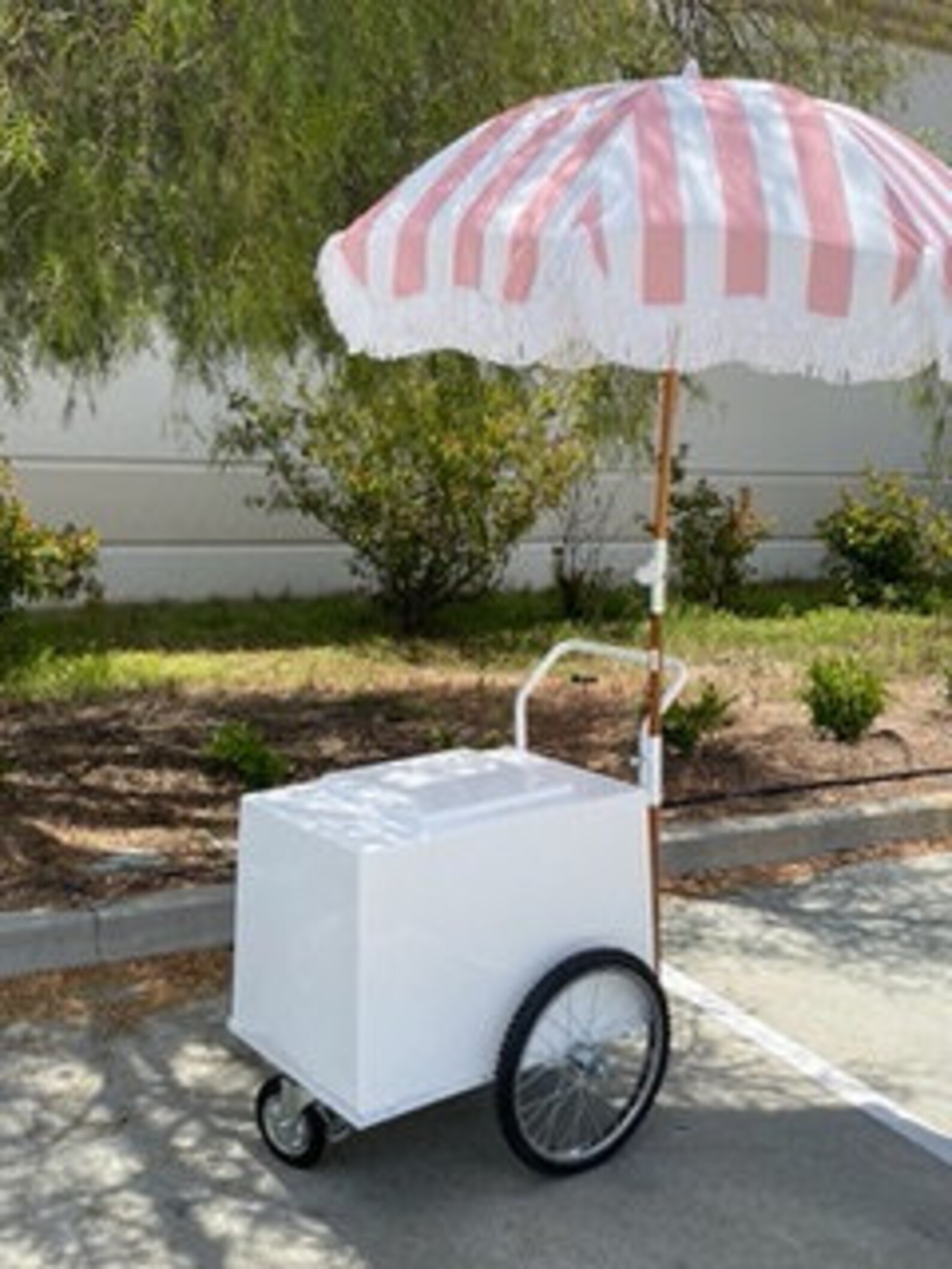 PALETAS PUSH CART Mexican Paletas Cart Pink Umbrella White Etsy