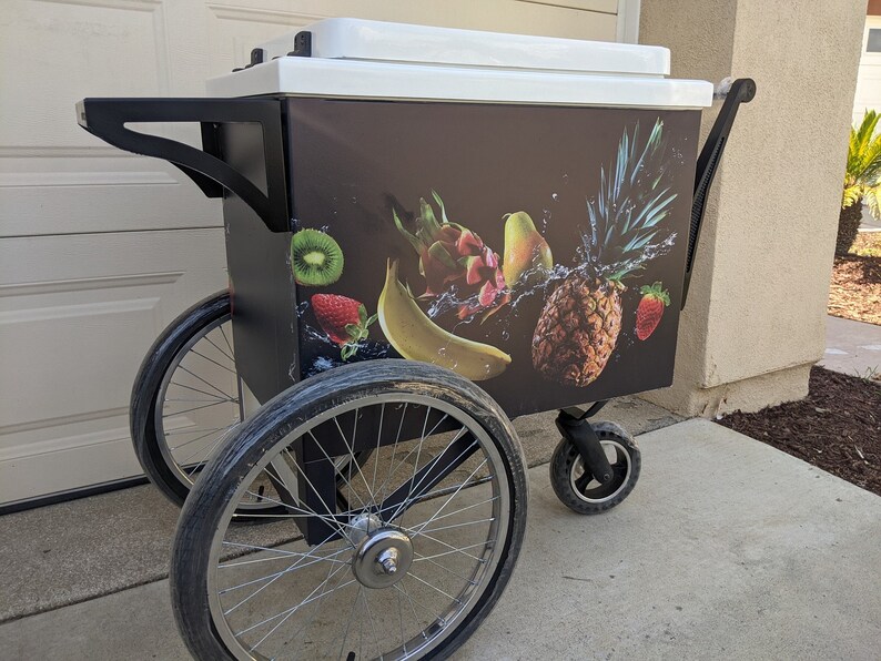 COOLER PUSH CART Healthy Fruit Cart Veggies Cart Veggies Stand Etsy