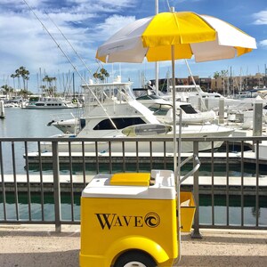 ICE CREAM Push Cart Sorbets Gelato Paletas Vendor Push Carts Ice Cream Cart Street Vendor Ice Cream Stand Gelato Cart Paleta Cart Ice Cream