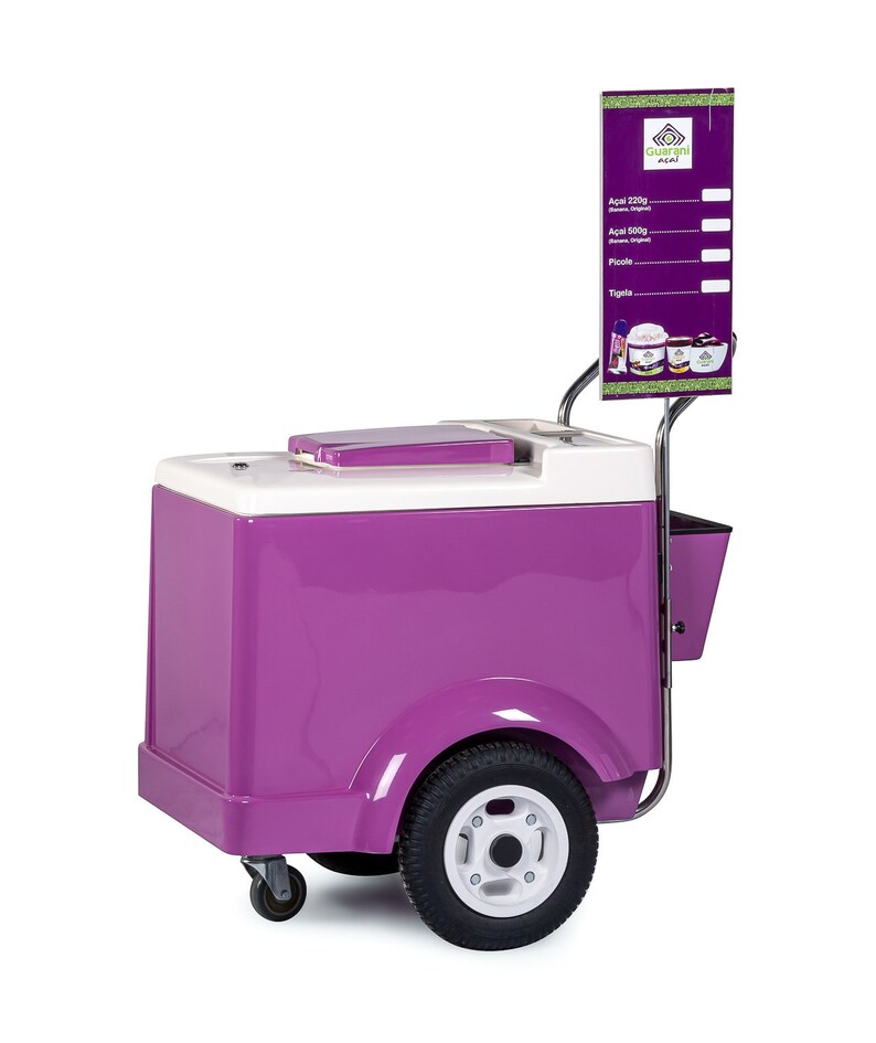 ICE CREAM CART, Commercial Branding, Ice Cream, Paletas, Gelato