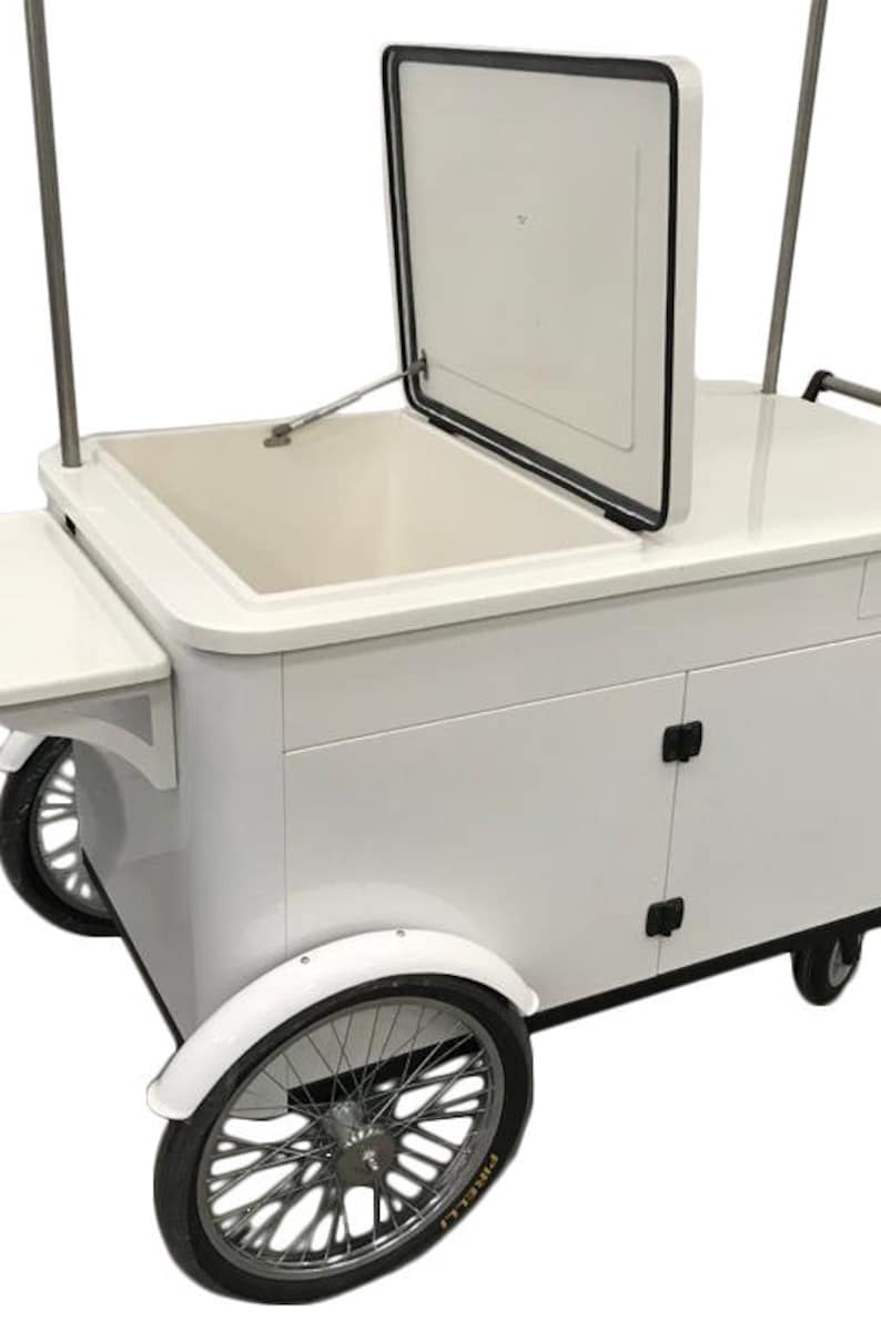 ICE CREAM FREEZER Cart, Ice Cream Freezer Push Cart, Dualmode