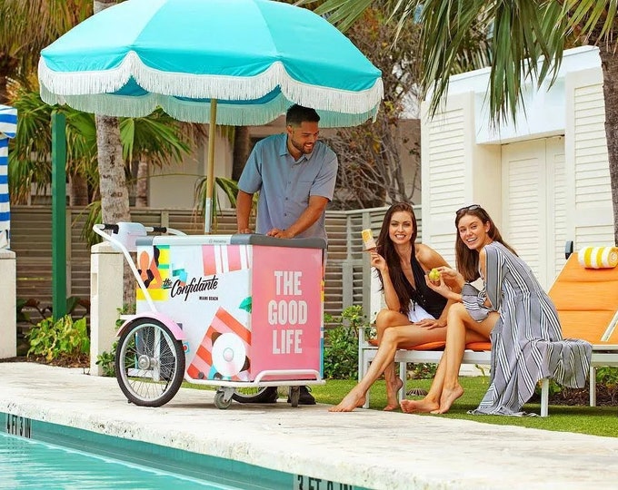ICE CREAM CART Gelato Cart Freezer Cart Electric Ice Cream Carts Dual Mode Ice Cream Gelato