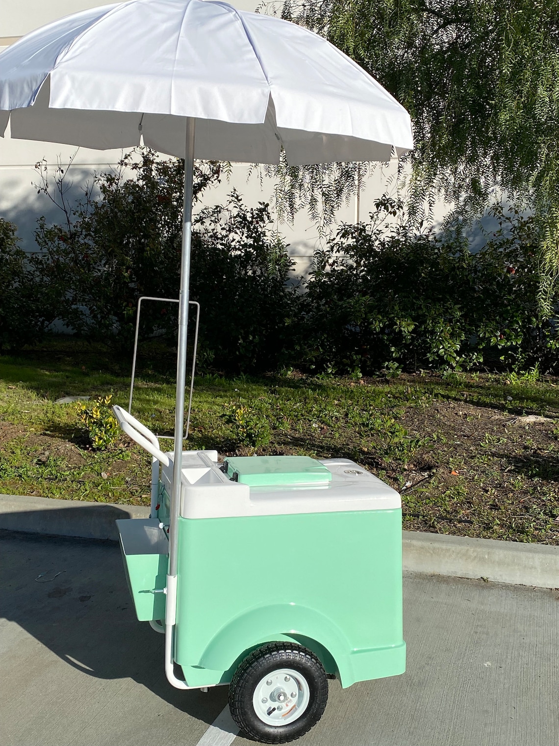 LIGHT BLUE PALETA Cart Ice Cream Push Cart Mobile Paleta Cart Blue Ice
