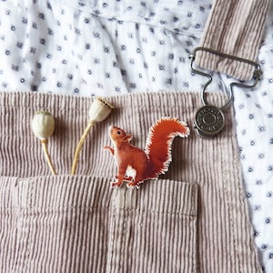 May include: A red squirrel pin with a brown tail, attached to a brown corduroy pocket on a white and blue patterned fabric.