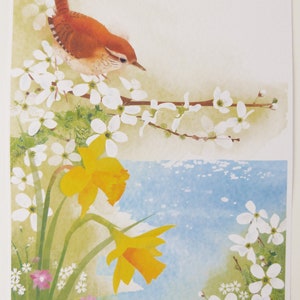 Spring Wren Print/ Spring Flowers Print/ A4 Spring Water Colour Print/ Coastal Print/ Rebecca Spikings image 2