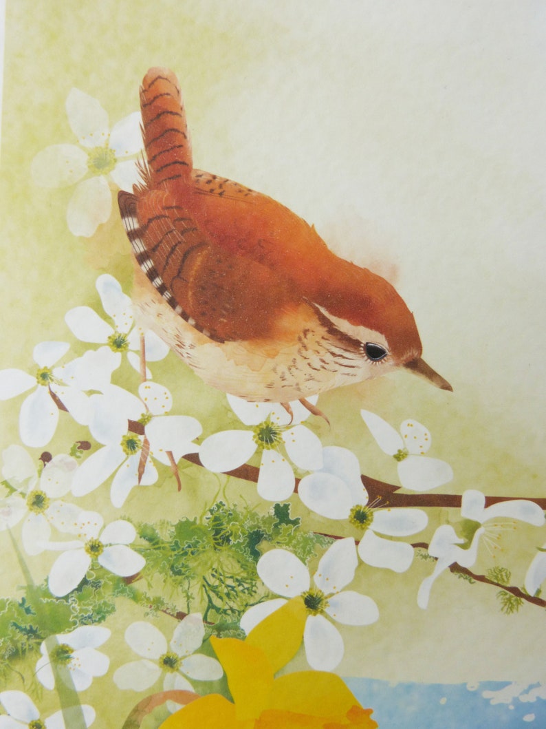 Spring Wren Print/ Spring Flowers Print/ A4 Spring Water Colour Print/ Coastal Print/ Rebecca Spikings image 3