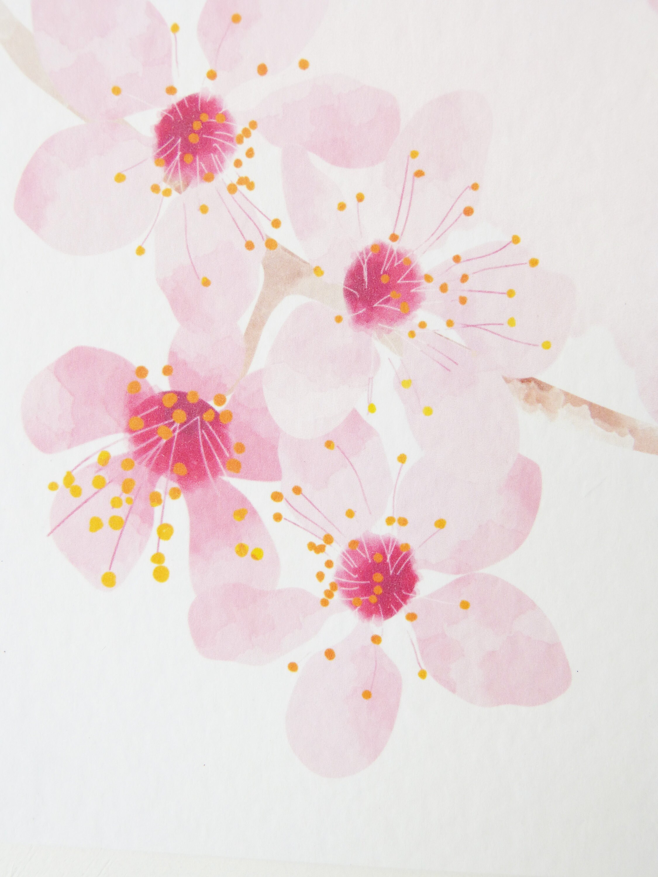 Blossom A4 Print/ Spring Blossom Wall Art/ Cherry Blossom Art Print ...