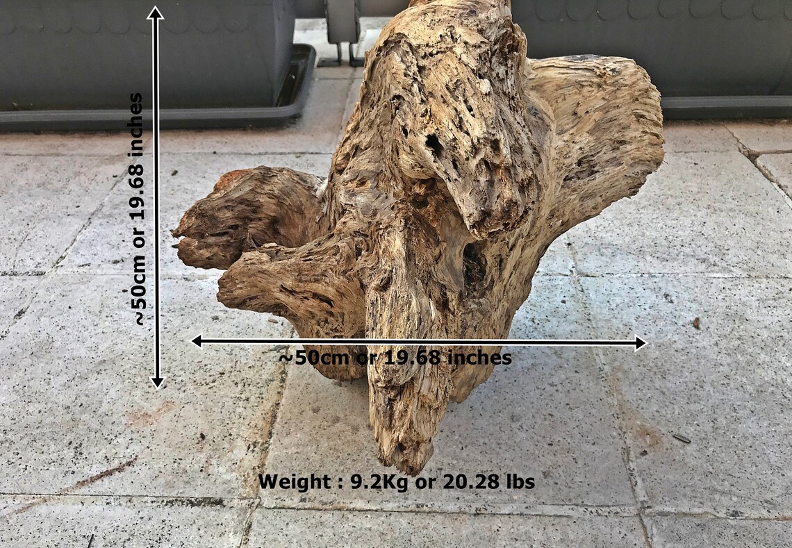 Amazing Big Driftwood Piece/driftwood Pieces Driftwood Art Etsy