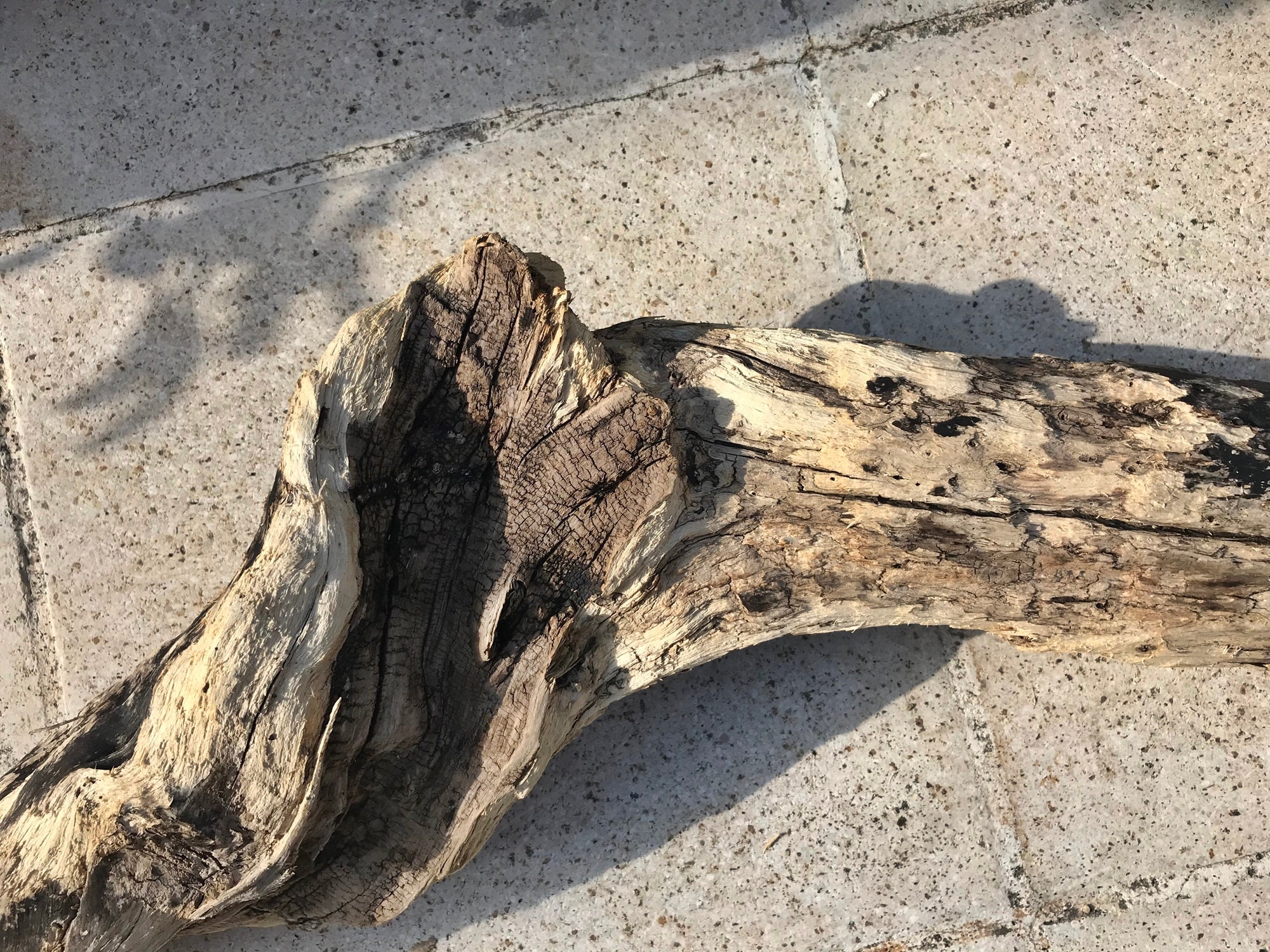 Amazing Big Driftwood Piece/Driftwood Pieces Driftwood Art Etsy