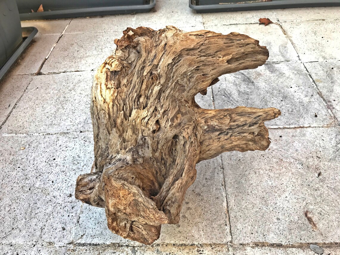 Amazing Big Driftwood Piece/driftwood Pieces Driftwood Art Etsy
