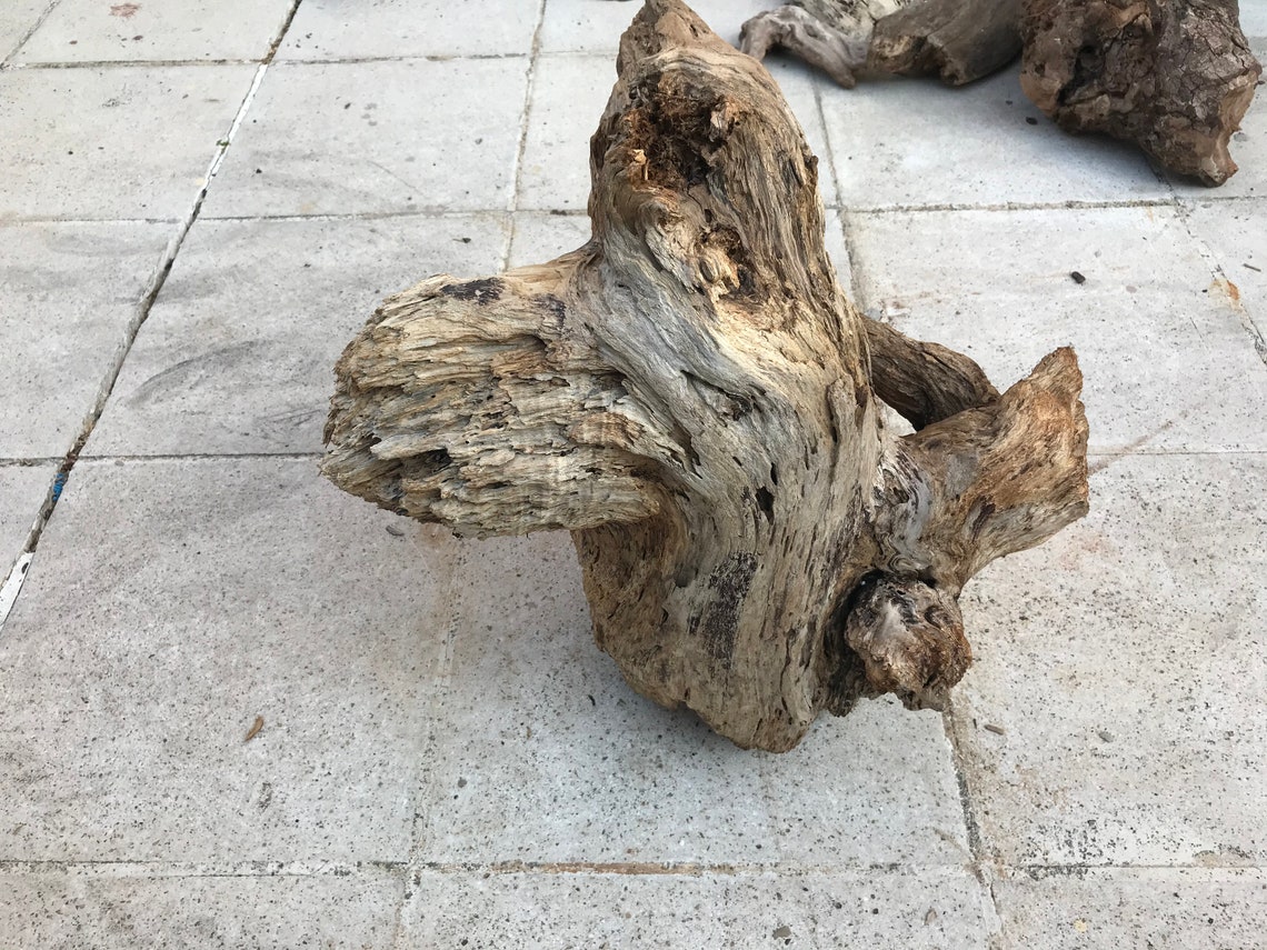Amazing Big Driftwood Piece/Driftwood Pieces Driftwood Art Etsy