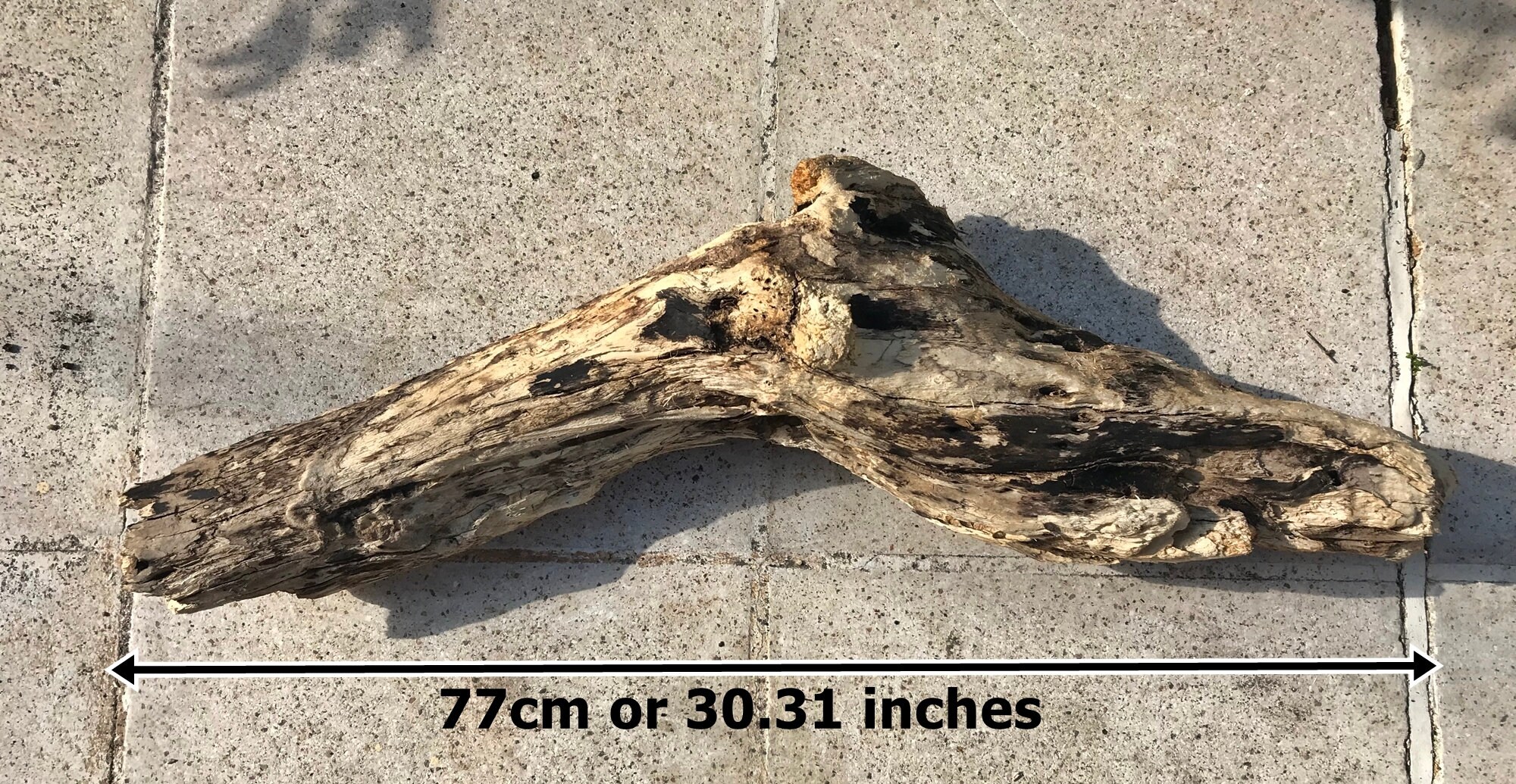 Amazing Big Driftwood Piece/Driftwood Pieces Driftwood Art Etsy