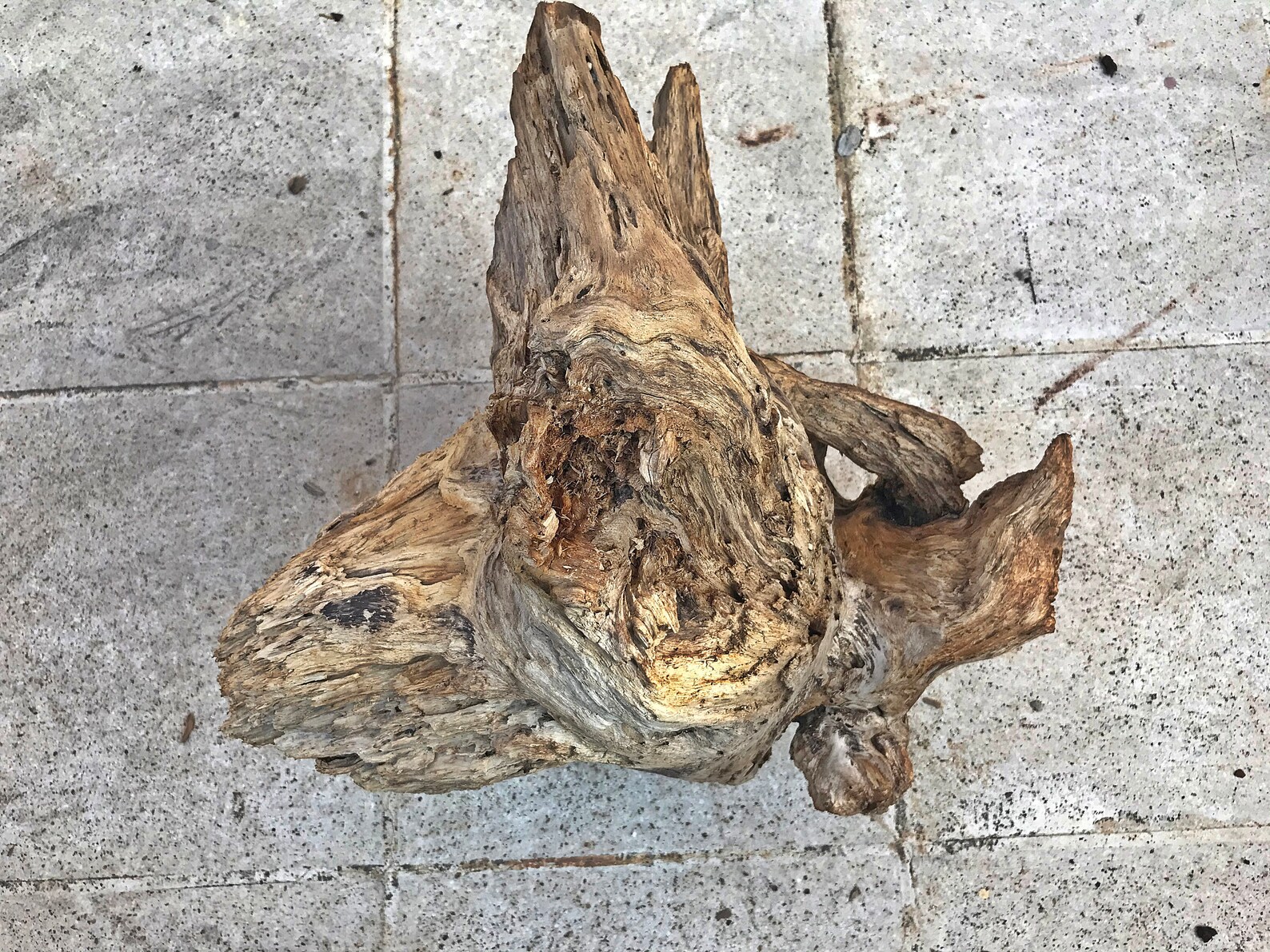 Amazing Big Driftwood Piece/driftwood Pieces Driftwood Art Etsy