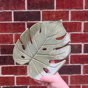 May include: A ceramic leaf-shaped dish in a light green color. The dish is shaped like a monstera leaf with a textured surface.
