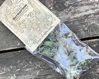 Blue Sage salvia nemarosa