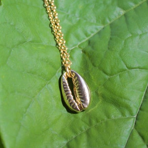 Golden Cowrie Necklace