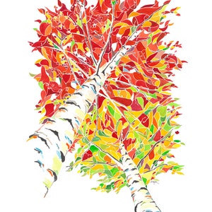 K&ouml;nnte beinhalten: Ein Aquarellbild von zwei Birken mit wei&szlig;er Rinde und &Auml;sten, die zum Himmel ragen. Die Bl&auml;tter sind in Rot-, Gelb- und Gr&uuml;nt&ouml;nen gehalten und erzeugen eine lebendige Herbstszene.