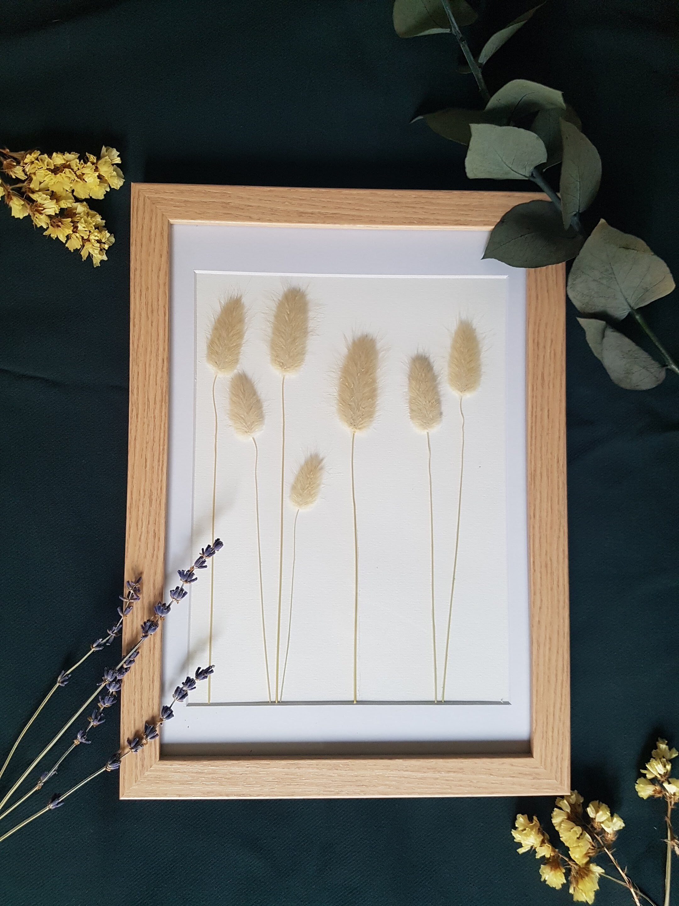 Herbier Fleurs Séchées La Légèreté