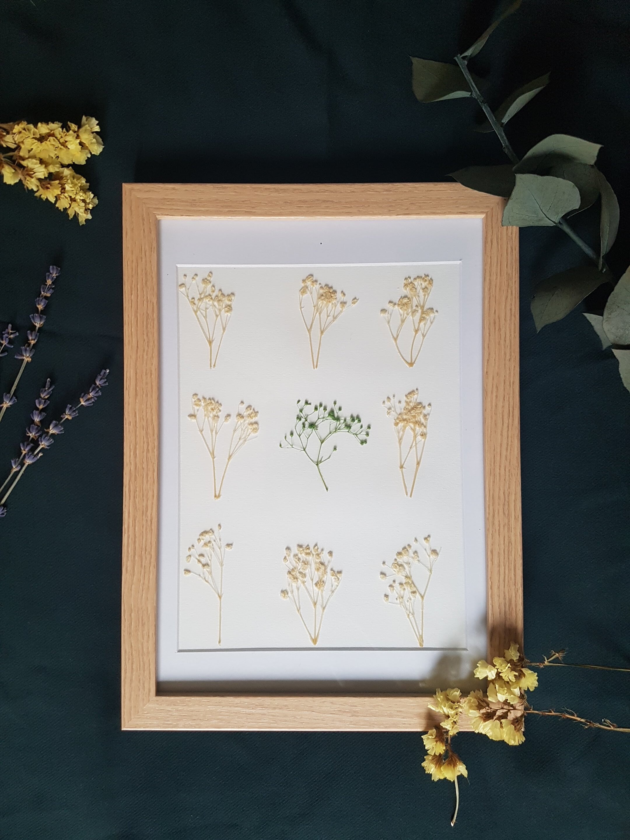 Herbier Fleurs Séchées La Poésie