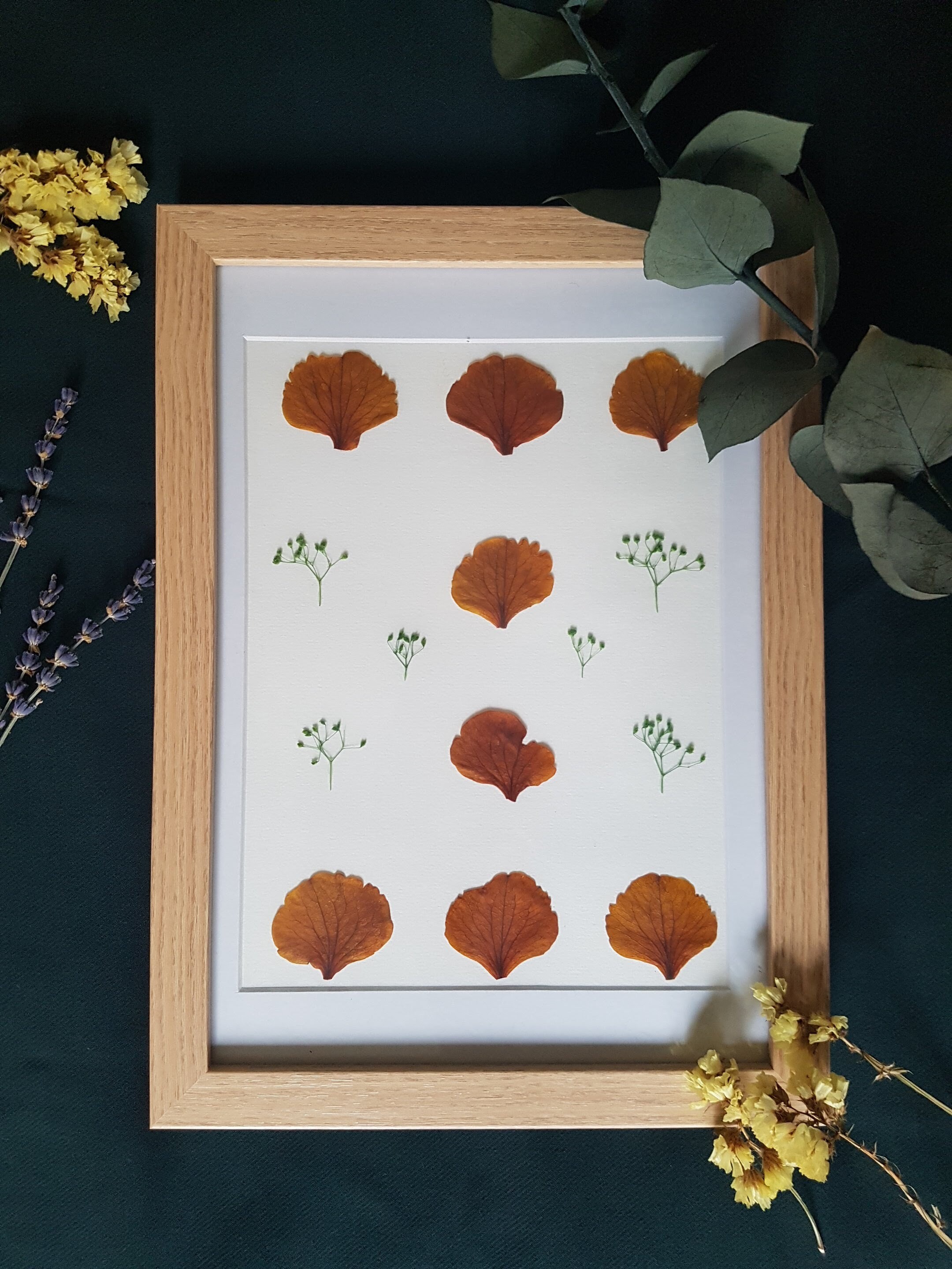 Herbier Fleurs Séchées La Volupté