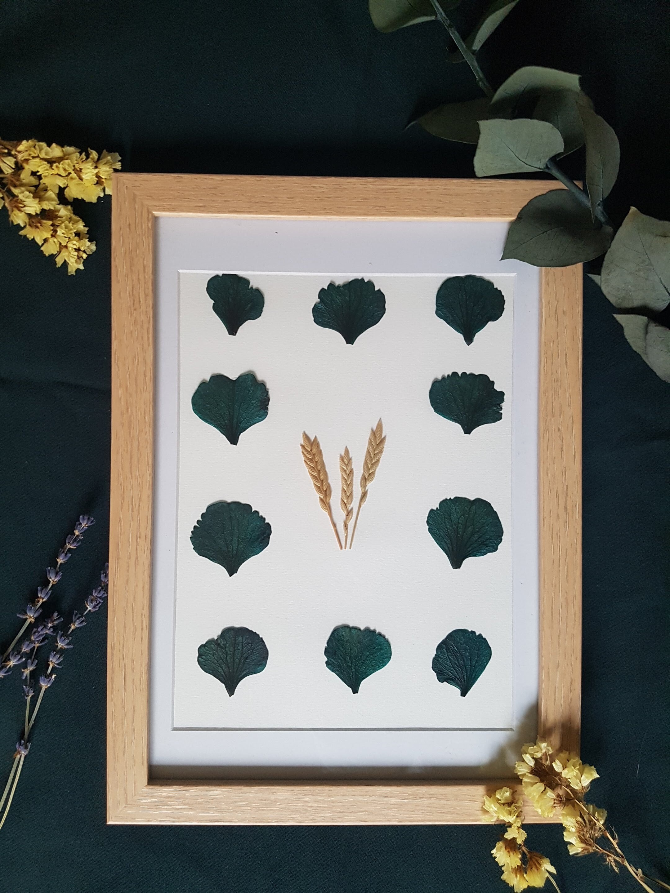 Herbier Fleurs Séchées La Naissance