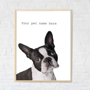 May include: A black and white Boston Terrier dog with brown eyes looking to the right. The dog is on a white background with the text "Your pet name here" above the dog.