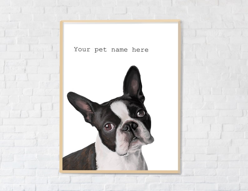 May include: A black and white Boston Terrier dog with brown eyes looking to the right. The dog is on a white background with the text "Your pet name here" above the dog.