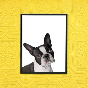 Boston Terrier Print digital print, instant download, Boston terrier gifts, Boston illustration, trending now image 5