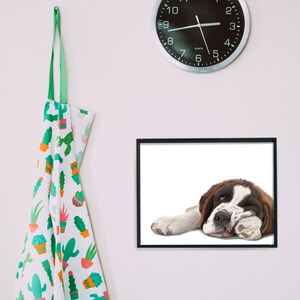May include: A framed print of a brown and white puppy dog lying down with its head resting on its paw. The dog is looking at the camera with a sleepy expression.