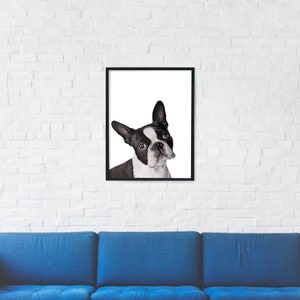 Boston Terrier Print digital print, instant download, Boston terrier gifts, Boston illustration, trending now image 4