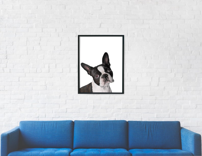 Boston Terrier Print digital print, instant download, Boston terrier gifts, Boston illustration, trending now image 4