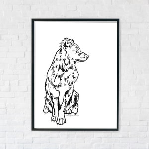 Australian Shepherd Print - instant download, Aussie print, Aussie illustraton, Ausie gifts, digital print