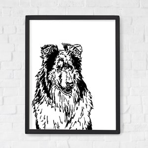 Du bist auf der Suche nach einem passenden Collie Motiv?