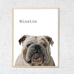 May include: A digital illustration of a white and brown bulldog with the name "Winston" printed above it.