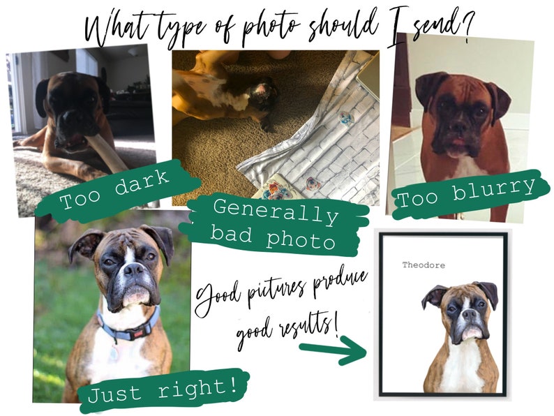 May include: A collage of images showing different types of photos of a dog. The first image is too dark, the second image is blurry, and the third image is a good photo of the dog. The text "Good pictures produce good results!" is written on the image.