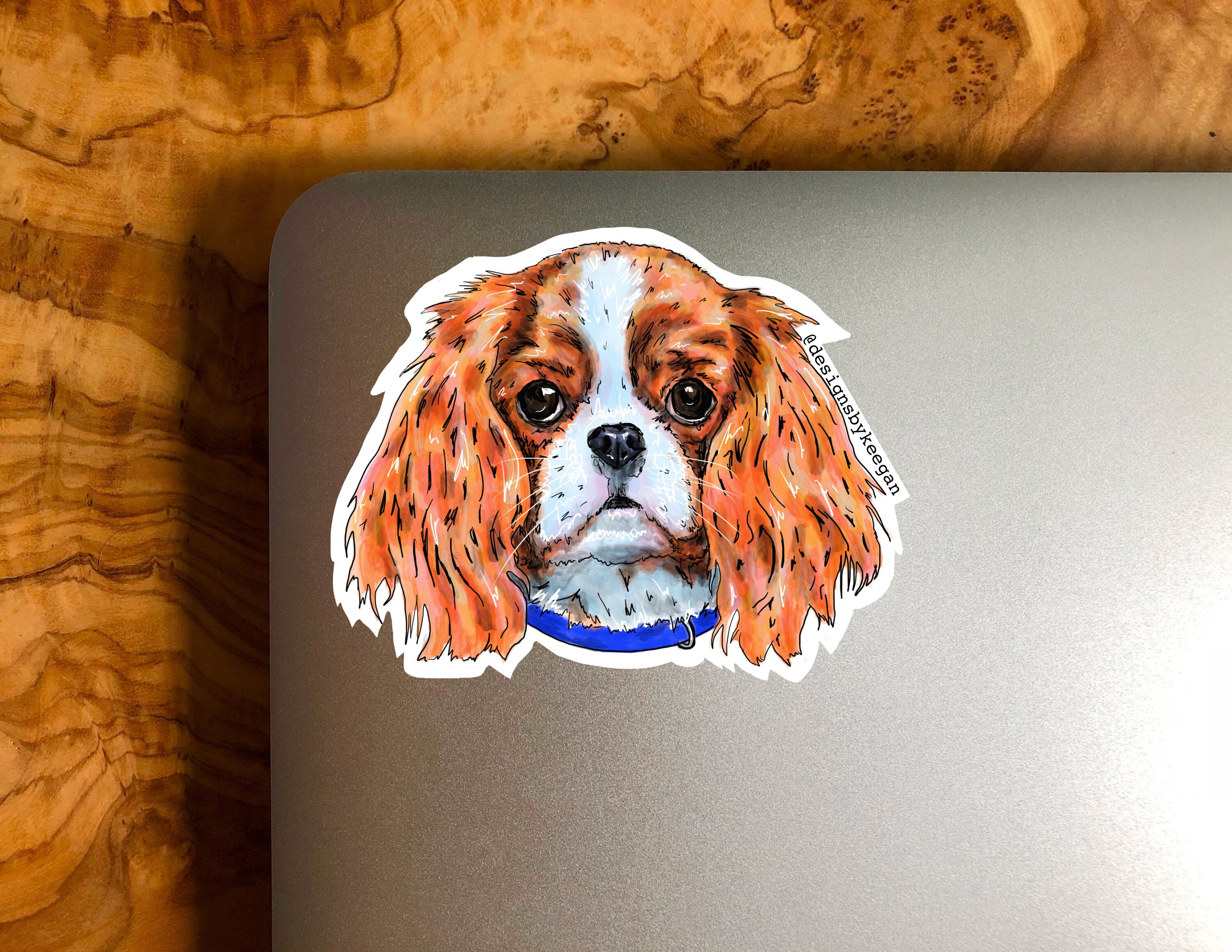 Cavalier King Charles Sticker - Water Resistant Stickers, King Charles ...