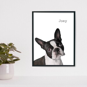 Boston Terrier Print digital print, instant download, Boston terrier gifts, Boston illustration, trending now image 3