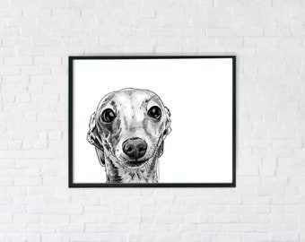 Könnte beinhalten: Schwarzweiß-Illustration eines Hundekopfes. Der Hund hat große, dunkle Augen und einen süßen Ausdruck.