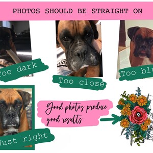 May include: A collage of photos showing different examples of how to take a good photo of a dog. The photos show a dog that is too dark, too close, too blurry, and just right. The text "PHOTOS SHOULD BE STRAIGHT ON" is at the top of the image. The text "Good photos produce good results" is in the middle of the image. The text "Too dark", "Too close", "Too blurry", and "Just right" are below the photos.