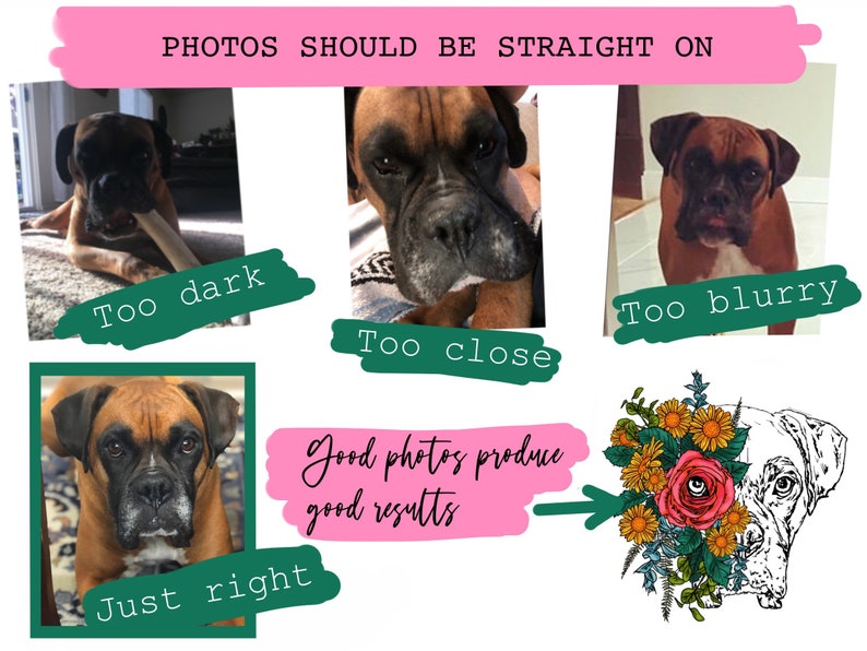 May include: A collage of photos showing different examples of how to take a good photo of a dog. The photos show a dog that is too dark, too close, too blurry, and just right. The text "PHOTOS SHOULD BE STRAIGHT ON" is at the top of the image. The text "Good photos produce good results" is in the middle of the image. The text "Too dark", "Too close", "Too blurry", and "Just right" are below the photos.