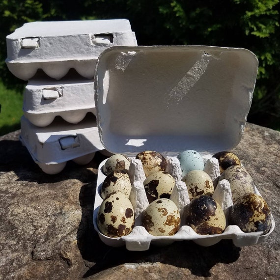 Quail Egg Cartons 100 Recycled Paper and Recyclable 30 Etsy