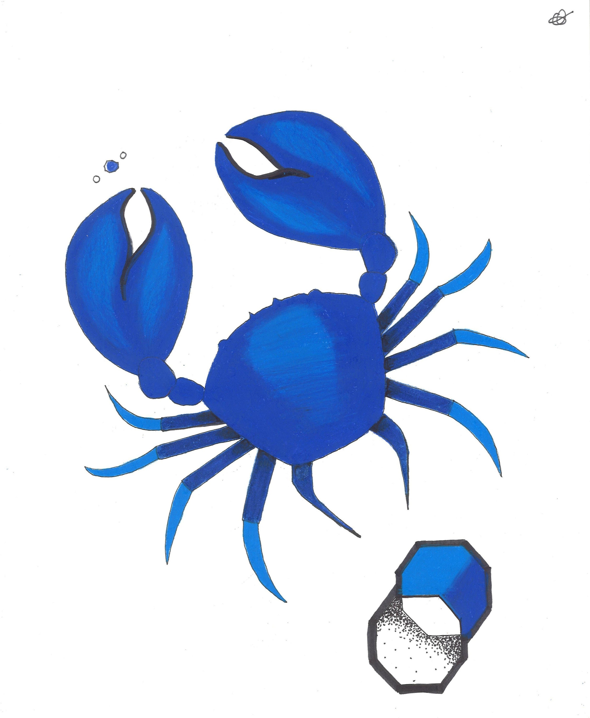 Blue Crab Drawing 2019 by chaz | Etsy