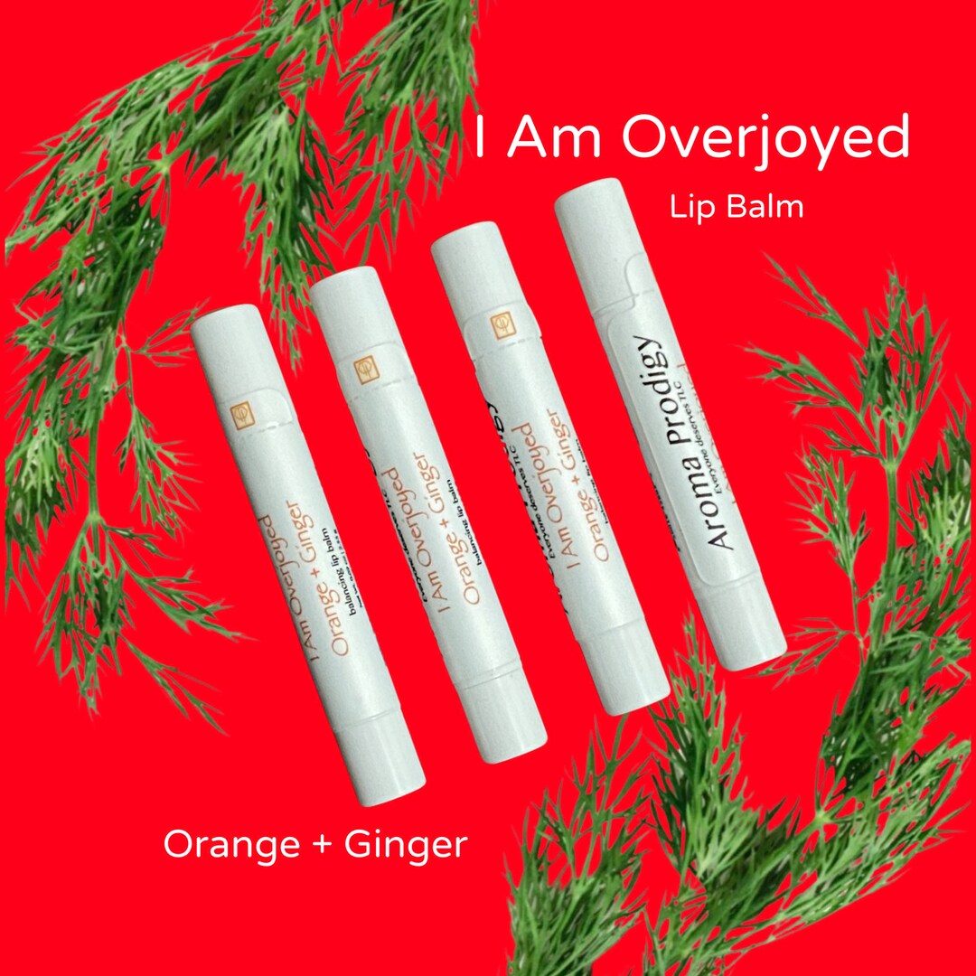 Lip Balm Dry Chapped Lip Treatment Gloss Gift Set Vegan Etsy