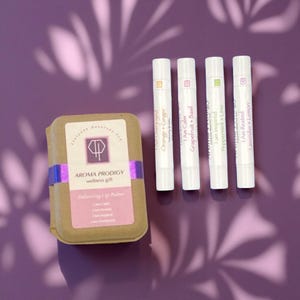 Aromatherapy Lip Balm Gift Set |  Lavender Lemon | Peppermint Lime| Orange Ginger | Grapefruit Basil | Essential Oils | Organic Lip Butter
